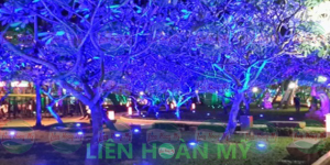 CHIẾU SÁNG CHO CÂY XANH