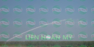 HỆ THỐNG TƯỚI CHO VƯỜN ƯƠM