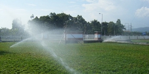 Tưới tự động công viên Chim Việt - Vũng Tàu