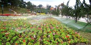 Tưới tự động tại Festival Hoa Đà Lạt