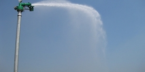 Tưới tự động vườn ươm Bàu Bàng