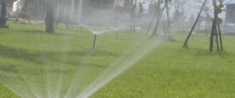 Hệ thống tưới tự động Bãi Sau Vũng Tàu