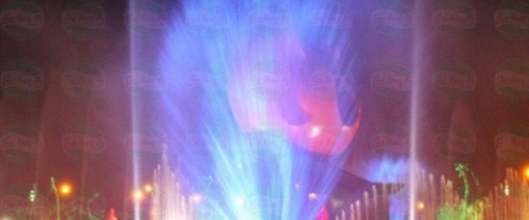 Phun nước nghệ thuật Công Viên Chim Việt - Vũng Tàu