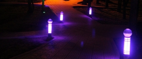 Chiếu sáng nghệ thuật công viên Đồi Dương Phan Thiết