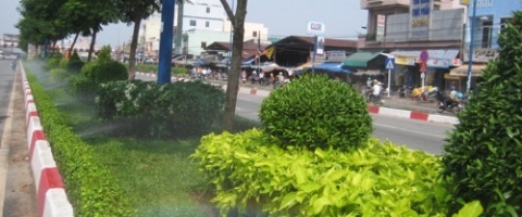 Hệ thống tưới tự động Đường Trường Chinh