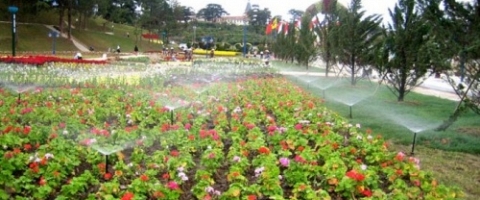 Tưới tự động tại Festival Hoa Đà Lạt