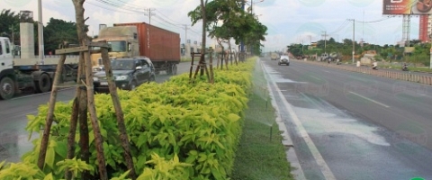 Hệ thống tưới tự động Xa Lộ Hà Nội