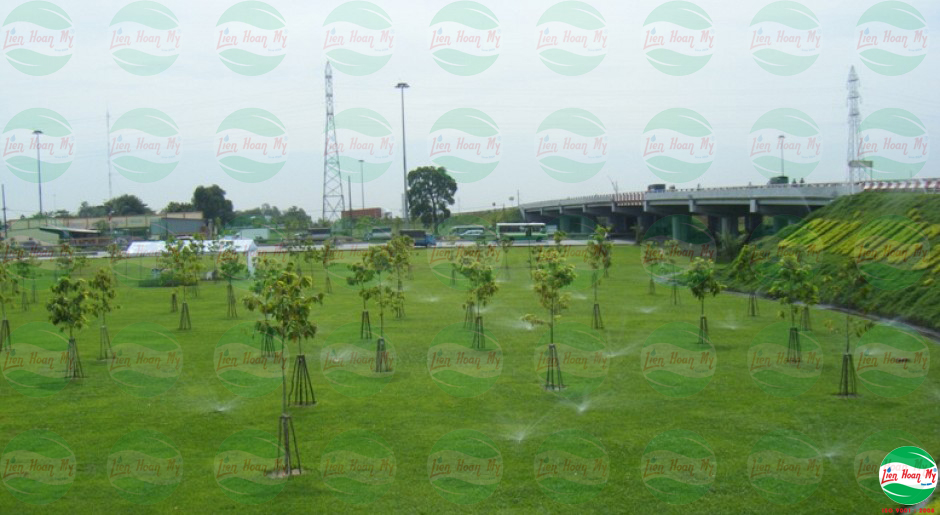 Tưới tự động tại nút giao thông Trạm 2 Thủ Đức