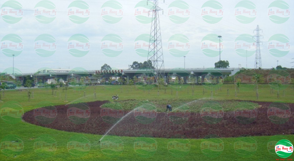 Tưới tự động tại nút giao thông Trạm 2 Thủ Đức