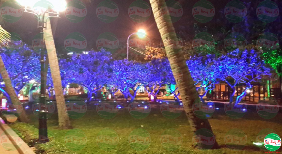 Chiếu sáng công viên bãi trước Vũng Tàu