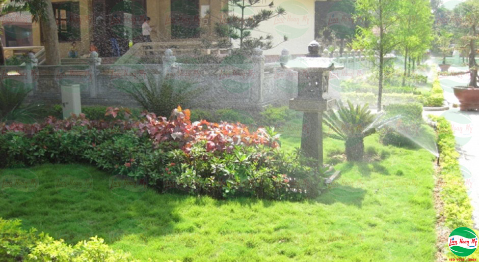 Tưới tự động tại khu di tích Kim Liên - Nam Đàn - Nghệ An