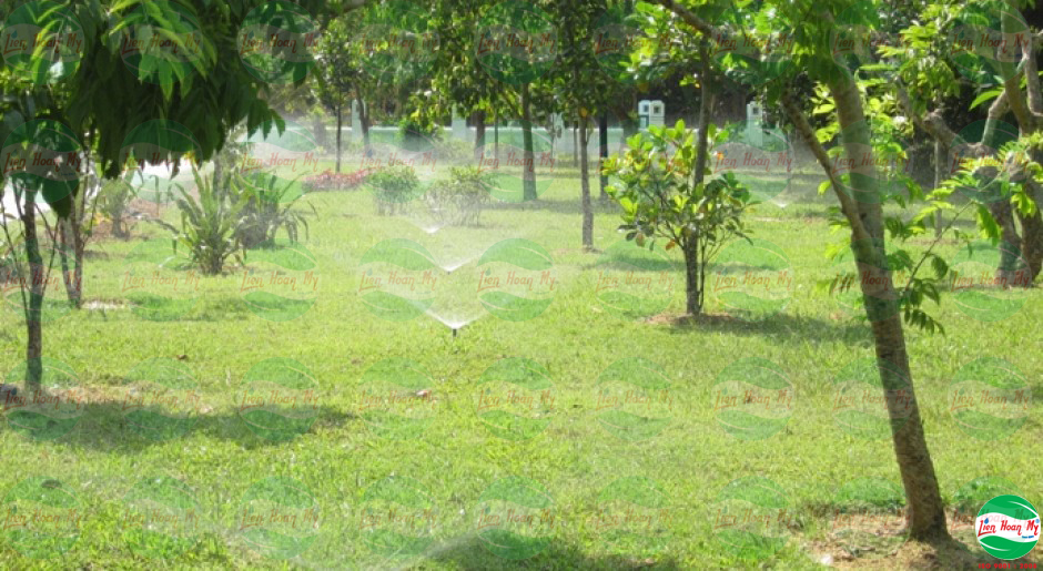 Tưới tự động tại khu di tích Kim Liên - Nam Đàn - Nghệ An