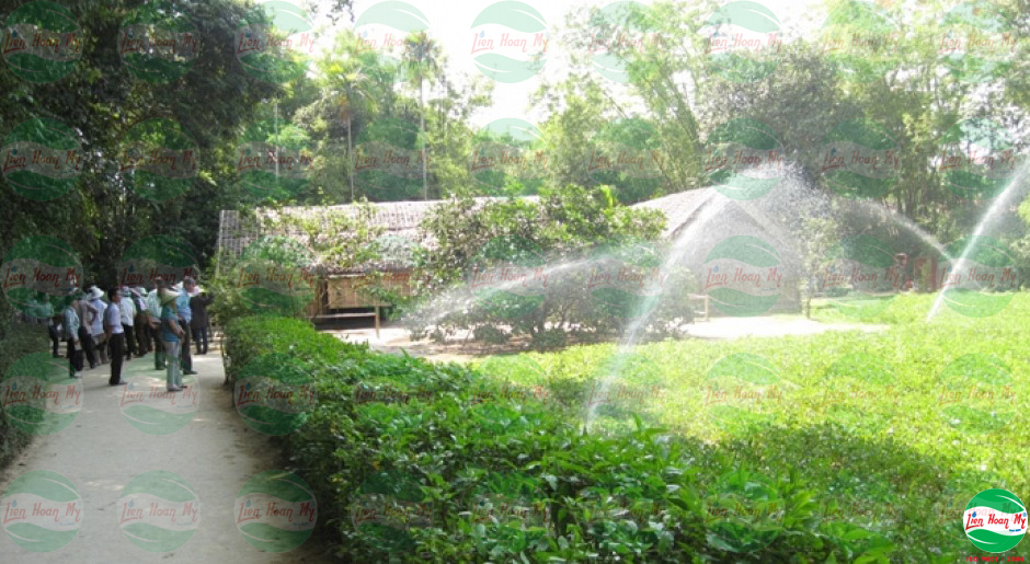 Tưới tự động tại khu di tích Kim Liên - Nam Đàn - Nghệ An