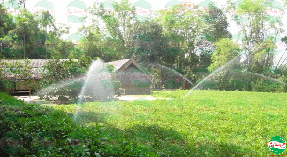 Tưới tự động tại khu di tích Kim Liên - Nam Đàn - Nghệ An