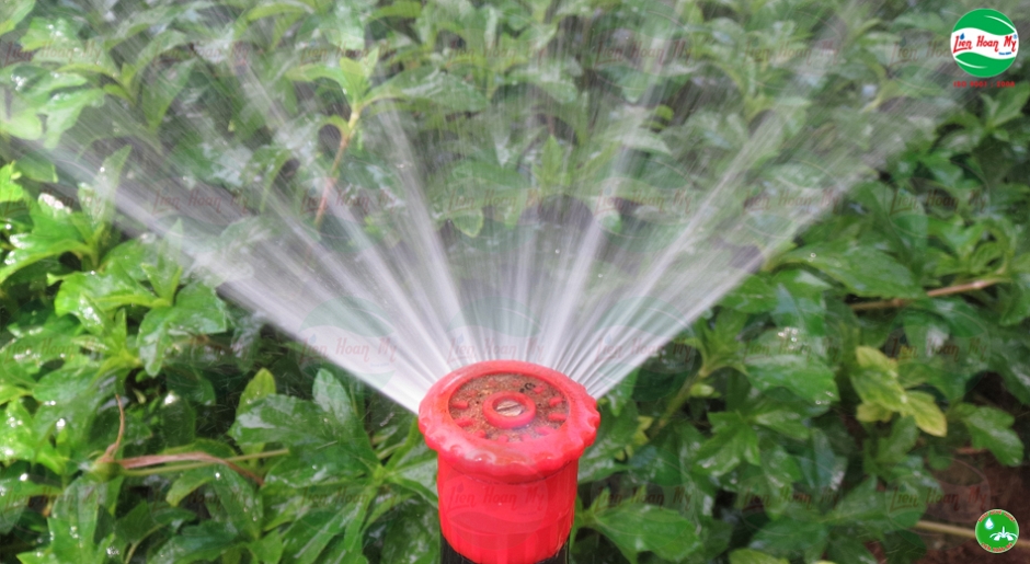 Hệ thống tưới tự động Bãi Sau Vũng Tàu