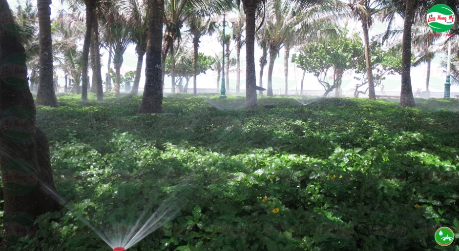 Hệ thống tưới tự động Bãi Sau Vũng Tàu