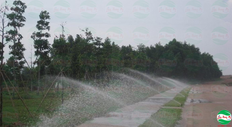 Hệ thống tưới tự động tại Sân Bóng Đá Mỹ Phước - Bình Dương