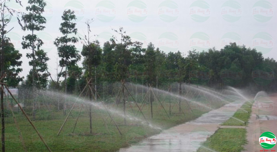 Hệ thống tưới tự động tại Sân Bóng Đá Mỹ Phước - Bình Dương