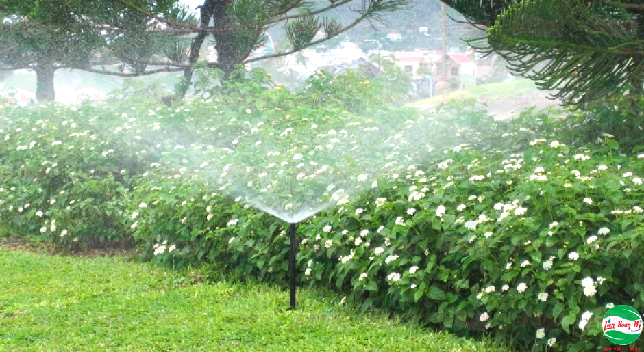 Tưới tự động tại Festival Hoa Đà Lạt