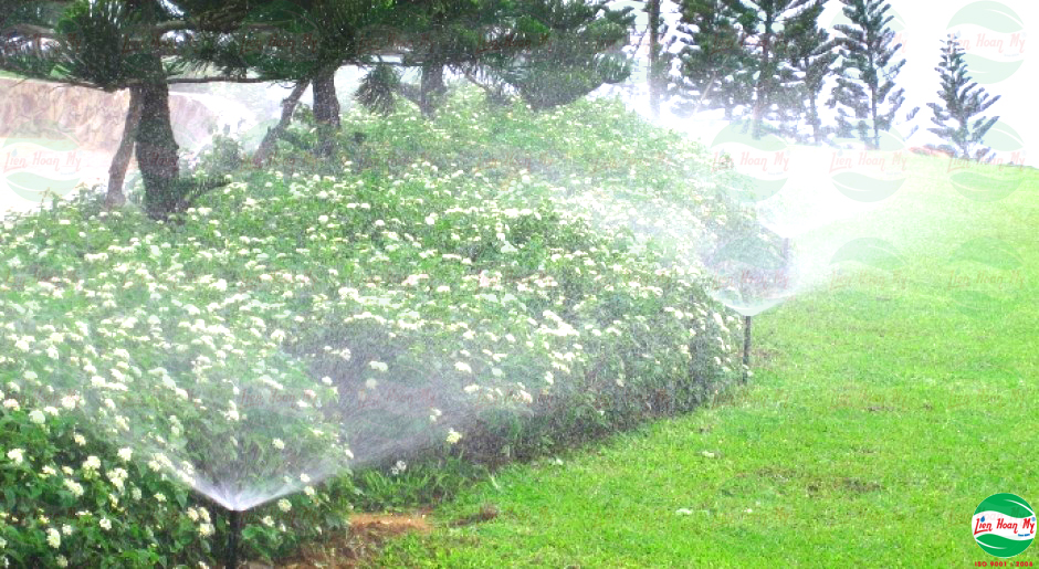 Tưới tự động tại Festival Hoa Đà Lạt