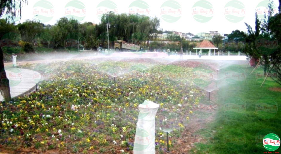 Tưới tự động tại Festival Hoa Đà Lạt