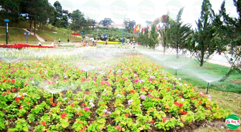 Tưới tự động tại Festival Hoa Đà Lạt