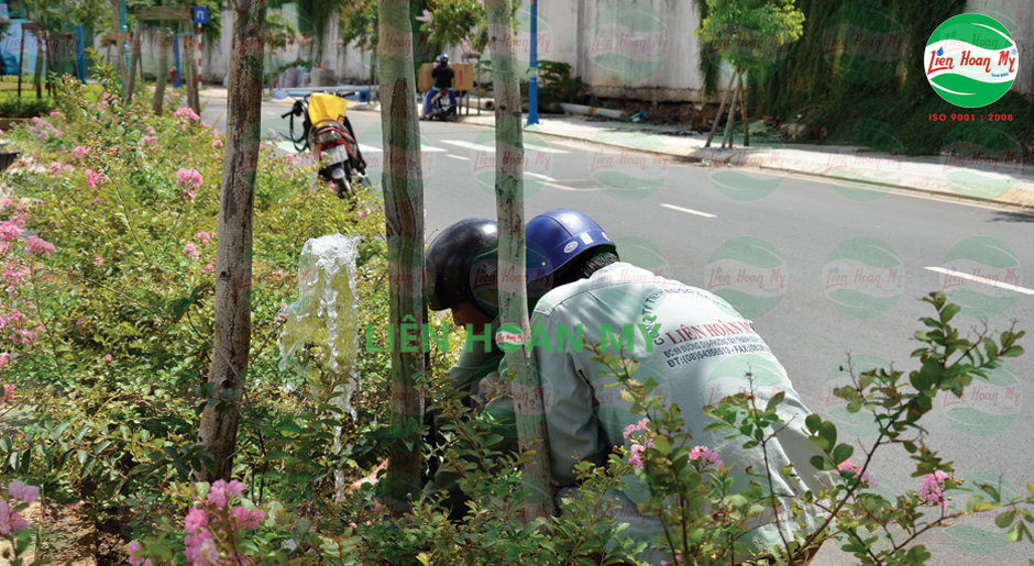 Hệ thống tưới tự động kênh Tân Hóa Lò Gốm