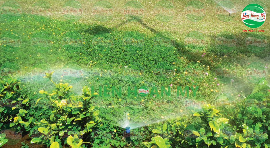 Hệ thống tưới tự động kênh Tân Hóa Lò Gốm