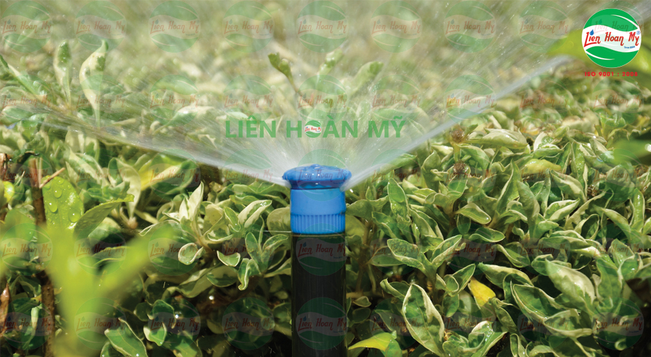 Hệ thống tưới tự động kênh Tân Hóa Lò Gốm