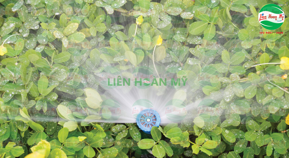 Hệ thống tưới tự động kênh Tân Hóa Lò Gốm