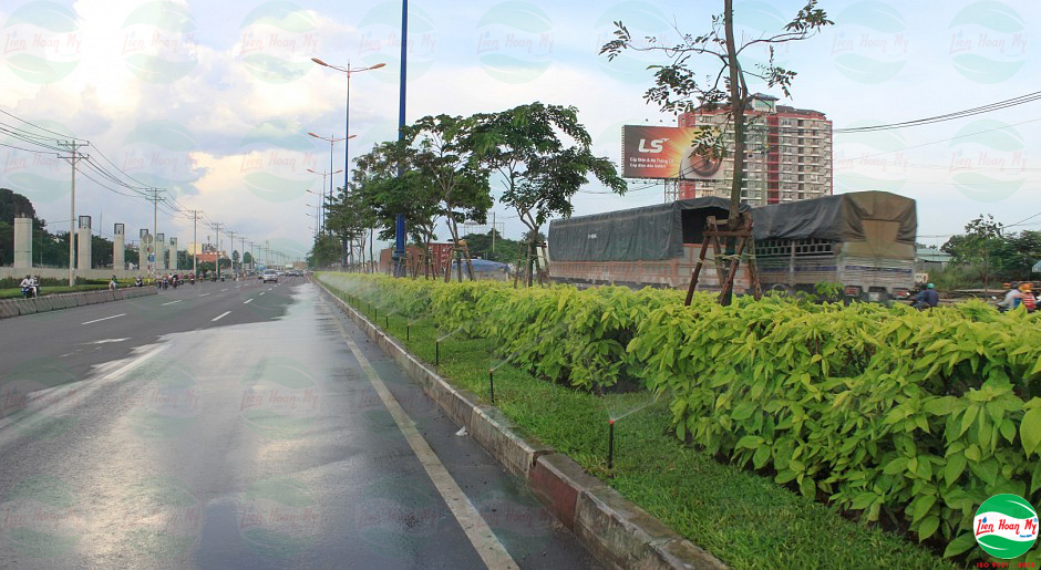 Hệ thống tưới tự động Xa Lộ Hà Nội