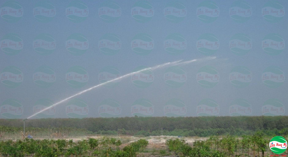 Tưới tự động vườn ươm Bàu Bàng